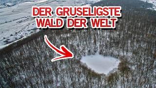 Der GRUSELIGSTE WALD der WELT - Hoia Baciu Forest | MythenAkte