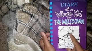 Diary of a Wimpy Kid The Meltdown - Book overview