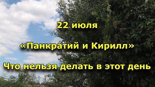 Народный праздник «Панкратий и Кирилл». 22 июля. Что нужно делать в этот день