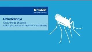 Chlorfenapyr – a new approach against resistant mosquitoes