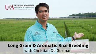 Arkansas Long Grain and Aromatic Rice Breeding Program