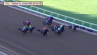 Citizen Bull wins the FanDuel Breeders' Cup Juvenile G.I race 9 at Del Mar 11/1/24