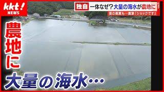 「本当にショック」水門工事中に"大量の海水"が農地に流入…いったいなぜ？