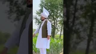 Farman | Sultan ul Faqr 6th | Sultan Mohammad Asghar Ali RA | #shorts #sultanulashiqeenshorts #viral