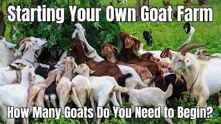 Starting Your Own Goat Farm: How Many Goats Do You Need to Begin? | Goat Farming Tips & Strategies