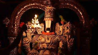 Tirumala Venkateswara swamy Geethabhavanam Harathiutsavam Rajahmundry #ttd #tirumala #tirupati