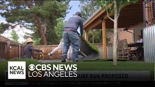 Los Angeles considers ban on artificial turf