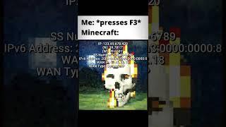 Minecraft F3 be like: