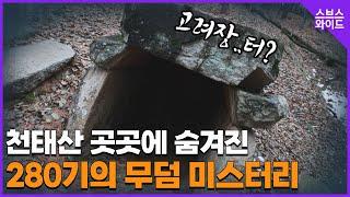 1500년이 넘었다고요? 산곳곳에..