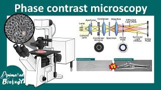 Phase contrast microscopy | Working principle of phase contrast microscope