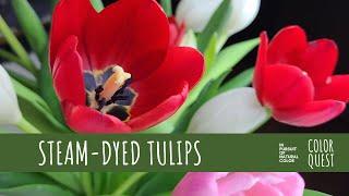 HOW TO STEAM DYE WITH TULIPS | ECO-DYE | ORGANIC COLOR | RED & PINK |  BOUQUET | RECYCLE & REPURPOSE