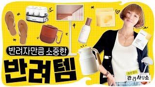 신상템부터 또산템까지. 혼자알기 아까운 내돈내산 반려템 11가지 [최은경의 관리사무소]
