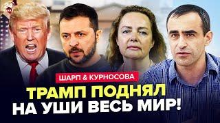 Трамп ОШАРАШИЛ! Набросился на ЗЕЛЕНСКОГО вместе с ПУТИНЫМ. Реакция КРЕМЛЯ безумная – ШАРП, КУРНОСОВА