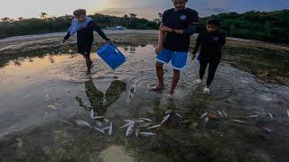 Simpleng Lugar Pero Napakaraming Isda Sa Mababaw