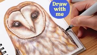 How to Draw a Realistic Owl with Alcohol Markers