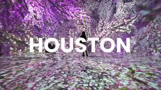 Announcing ARTECHOUSE HOUSTON