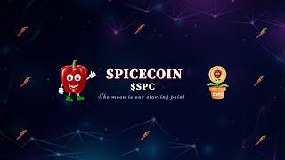 How to Buy Spice Coin Using Poocoin