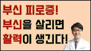 만성피로-스트레스- 부신피로증 부신을 살리면 활력이 생긴다