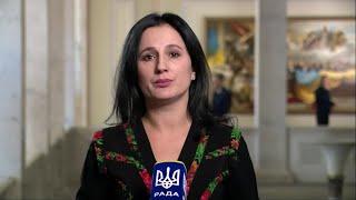 Найголовніший – пункт про єдність: Ірина Борзова розповіла деталі Плану внутрішньої стійкості