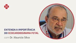 Entenda a importância do ecocardiograma fetal