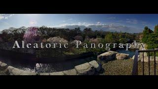 Aleatoric Panography