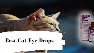 Best Cat Eye Drops