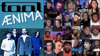 REACTION COMPILATION | Tool - Ænima (Aenima) | FIRST TIME HEARING Mashup