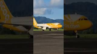 Scoot Air (TR-246) from Singapore (SIN) | 9V-TRS | #Airbus A320-232 #aviation