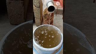 #rwh#water#flushing#flushots#waterfilter#installation#shorts#c4u#gatevalve #dirtywater#pushout