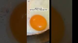 말레이시아 단톡방 질문 top 3. 한국에서 먹던 맛이 안나요