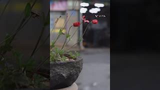 문래동 철공소 골목 joyfulharu 조이플하루