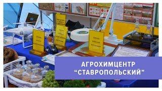 Технологии будущего повышают урожайность ставропольских полей