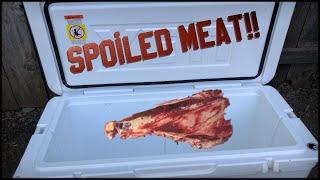 Don't Let Your Wild Game Meat SPOIL!! How to Prep Your COOLER || CACCIA OUTDOORS