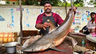 KASIMEDU  SPEED SELVAM | VERY RARE BIG SHARK FISH CUTTING | IN KASIMEDU | HD VIDEO | FF CUTTING 