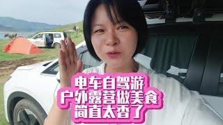 电车自驾游户外露营做美食简直太香了 电车自驾游 户外露营做美食