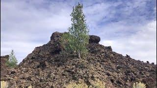 Idaho: Devils Orchard@Craters of the Moon National Monument