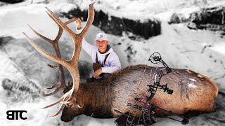 LATE ARCHERY ELK HUNT | WILL TO SURVIVE