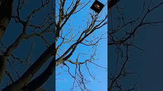 Dehradun harrawala plotting || For sell house and plots in dehradun uttarakhand