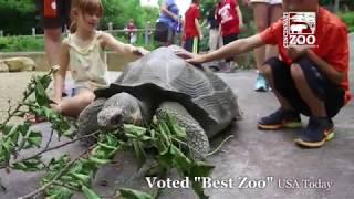 Cincinnati Zoo Voted Best Zoo