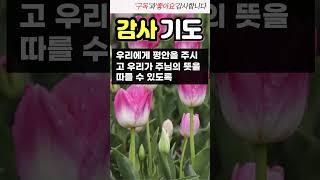 감사의 기도 / 감사기도  #감사의기도 #은혜감사기도 #오늘의기도