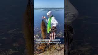 Природа Сахалина ️ #sakhalin #island #travel #nature #more #рыбалка #природа #остров #сахалин
