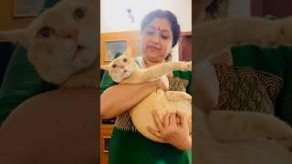 Music class for my Govindan | Binni Krishnakumar #shorts