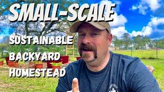 How To Be SUSTAINABLE On A 1/2 Acre Homestead