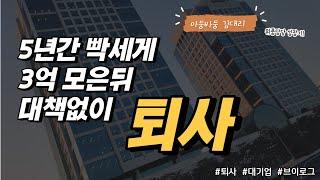 5년간 3억 모은뒤 대기업 퇴사한 이유