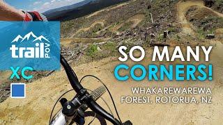 Perfect berms! on Corners || Redwood Forest, Rotorua | Mountain Biking