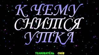 ТОЛКОВАТЕЛЬ СНОВ  ~ УТКУ ВИДЕТЬ ВО СНЕ, К ЧЕМУ СНИТСЯ.
