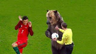 Epic Moments When Nature Stops Football Match ! ️