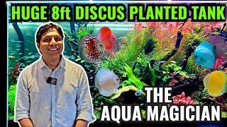 DISCUS FISH PLANTED TANK | THE AQUA MAGICIAN