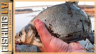 Рыбалка с ночёвкой. Ловля разнорыбицы; Линь, Лещ, Краснопёрка, Окунь, Щука