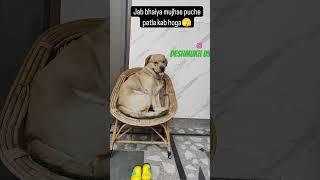 https://youtube.com/shorts/XKn0THUi7Aw?si=NKj9g8Q40t1gZs_f